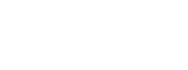 V8 Digital